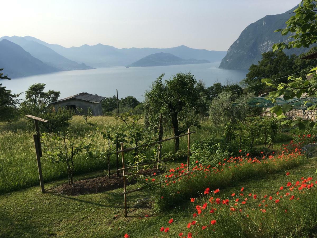 Ferienwohnung Irina'S House With View On Like And Swimming Pool Riva di Solto Exterior foto